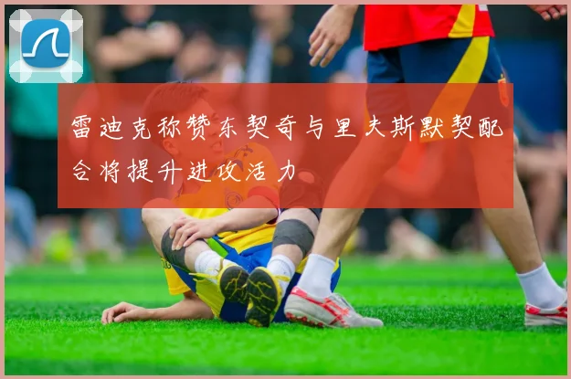 雷迪克称赞东契奇与里夫斯默契配合将提升进攻活力